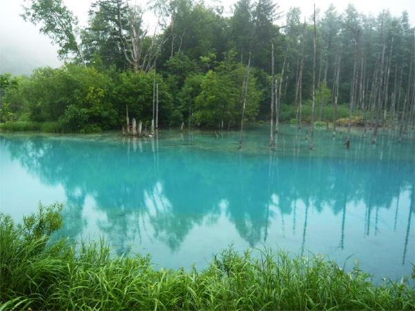 青い池イメージ画像